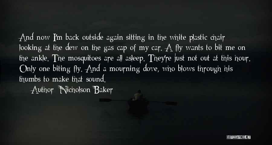 Nicholson Baker Quotes 1839680