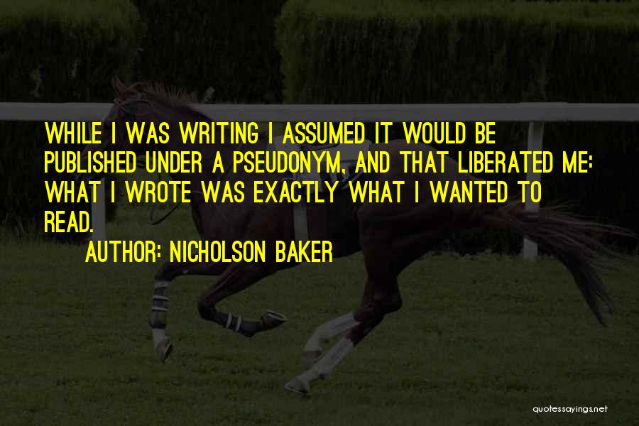 Nicholson Baker Quotes 2027413