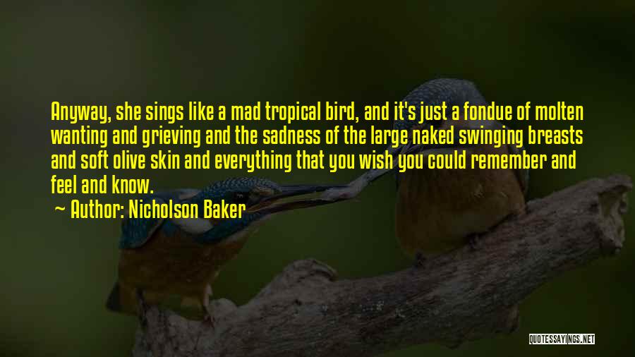 Nicholson Baker Quotes 668501