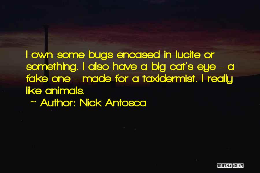 Nick Antosca Quotes 549281