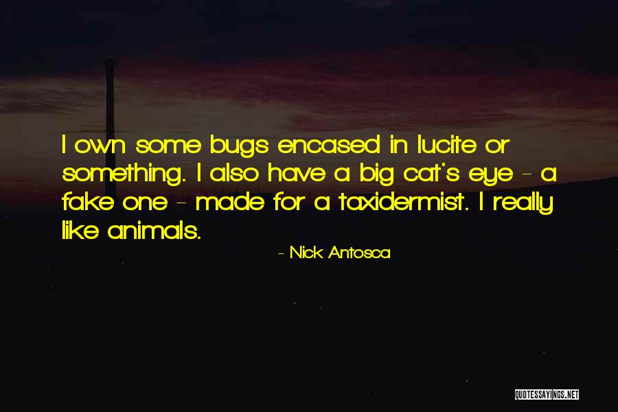 Nick Antosca Quotes 549281