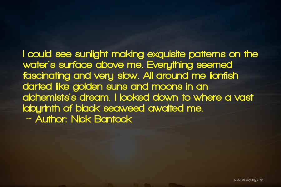 Nick Bantock Quotes 476821