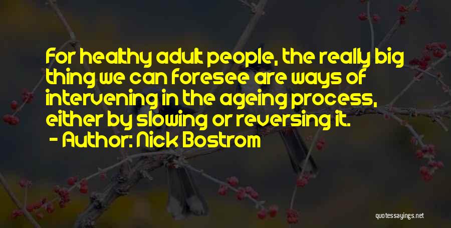 Nick Bostrom Quotes 340187