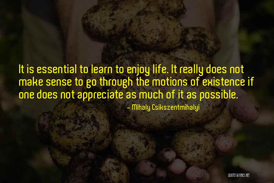 Nick Brana Quotes By Mihaly Csikszentmihalyi Nick Brana Quotes By Mihaly Csikszentmihalyi