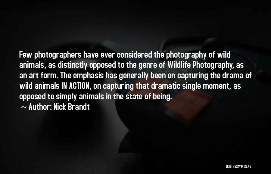 Nick Brandt Quotes 1912099