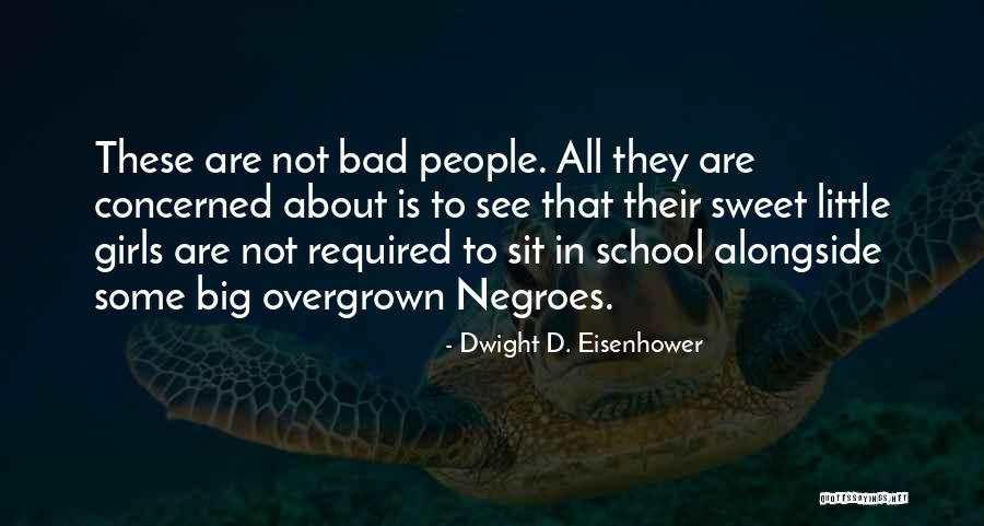 Nick Cummins Funny Quotes By Dwight D. Eisenhower Nick Cummins Funny Quotes By Dwight D. Eisenhower
