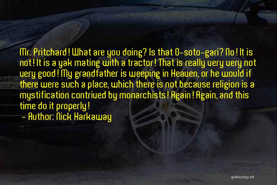 Nick Harkaway Quotes 1319695