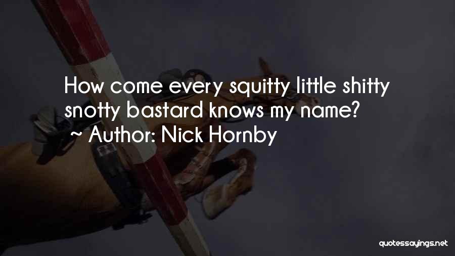 Nick Hornby Quotes 1560918