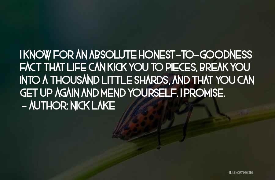 Nick Lake Quotes 816126