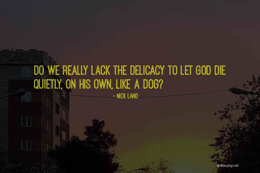 Nick Land Quotes 1905437