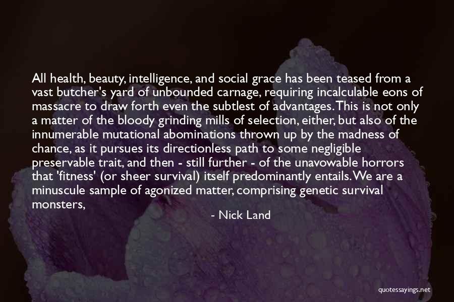Nick Land Quotes 728090