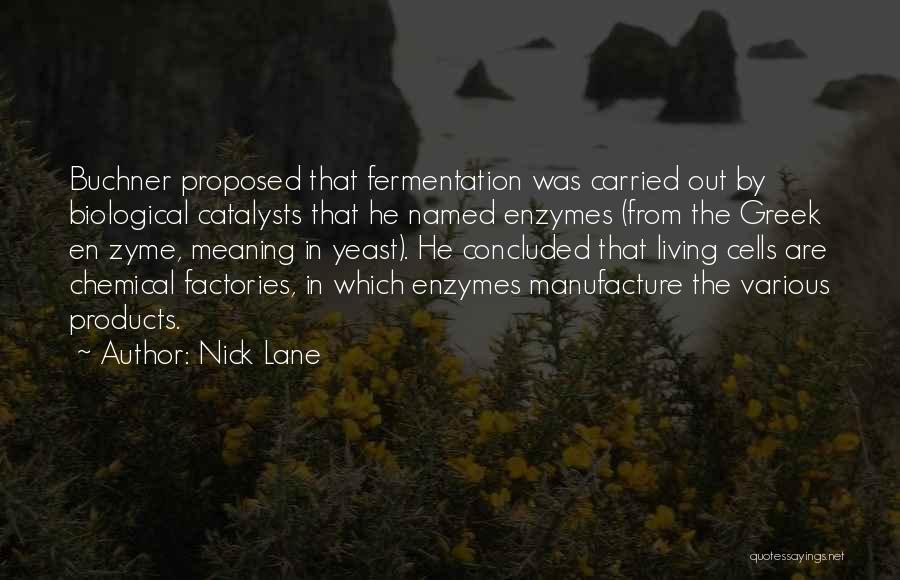 Nick Lane Quotes 1856211