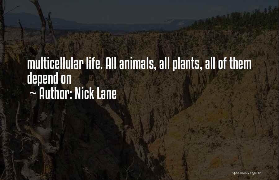 Nick Lane Quotes 645369