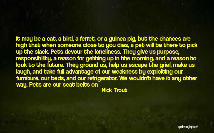Nick Trout Quotes 1248681 Nick Trout Quotes 1248681