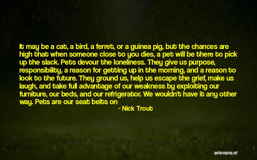 Nick Trout Quotes 1248681