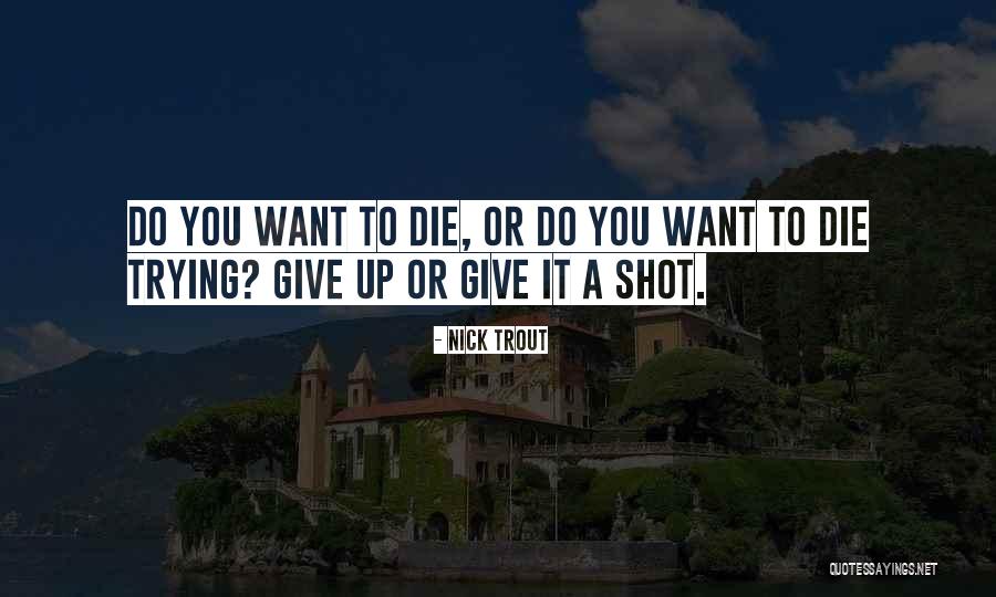 Nick Trout Quotes 2167832 Nick Trout Quotes 2167832