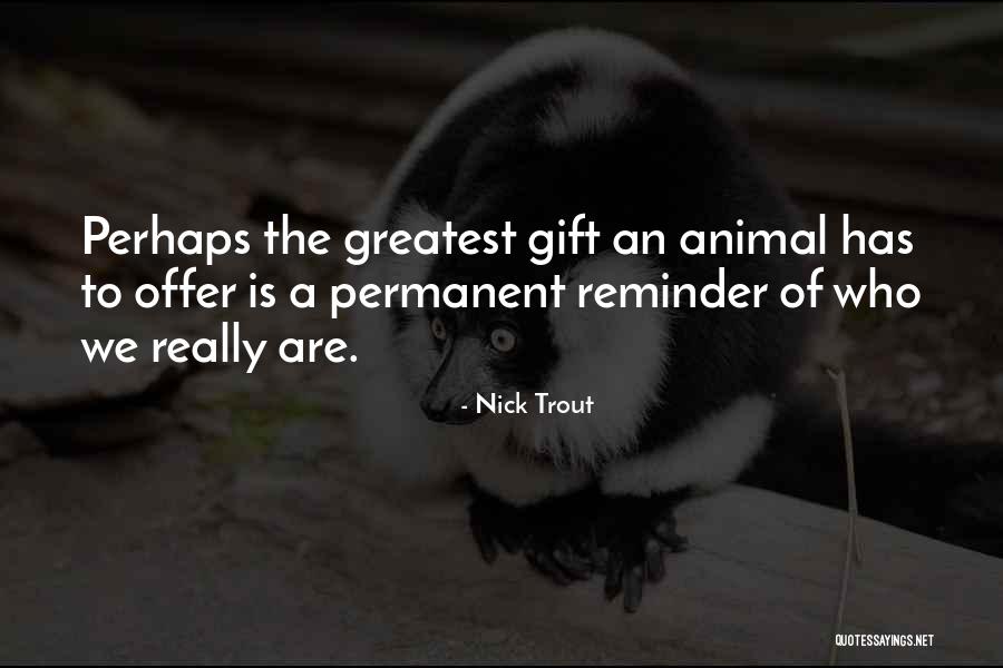 Nick Trout Quotes 642920 Nick Trout Quotes 642920