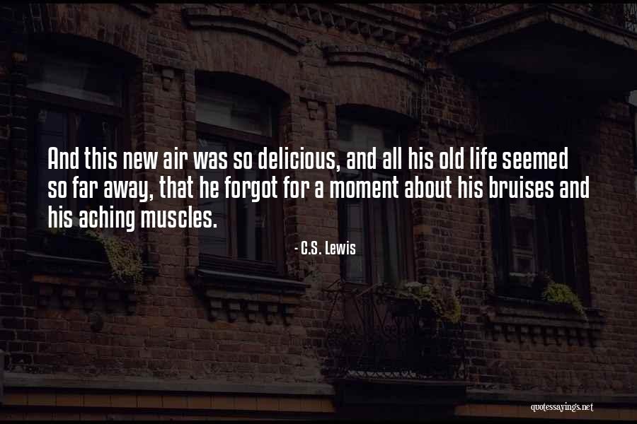 Nick Valensi Quotes By C.S. Lewis Nick Valensi Quotes By C.S. Lewis