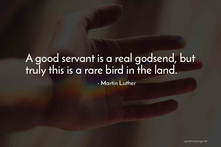 Nick Wolfe Quotes By Martin Luther Nick Wolfe Quotes By Martin Luther