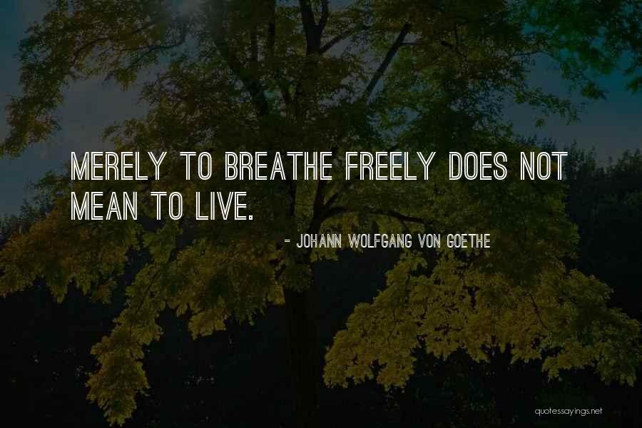 Nicked Wire Quotes By Johann Wolfgang Von Goethe