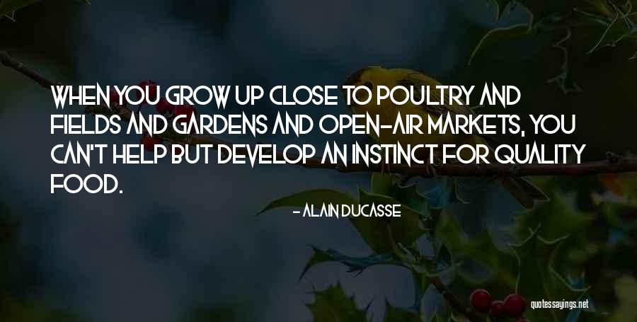 Nickelback Videos Quotes By Alain Ducasse Nickelback Videos Quotes By Alain Ducasse
