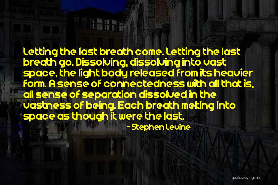 Nickie Hallie Quotes By Stephen Levine Nickie Hallie Quotes By Stephen Levine