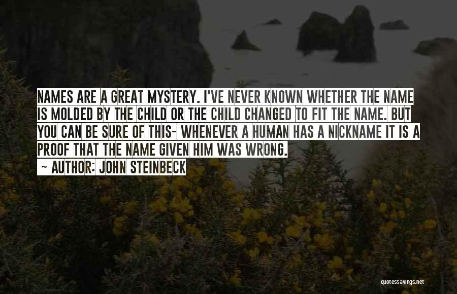 Nickname Quotes By John Steinbeck