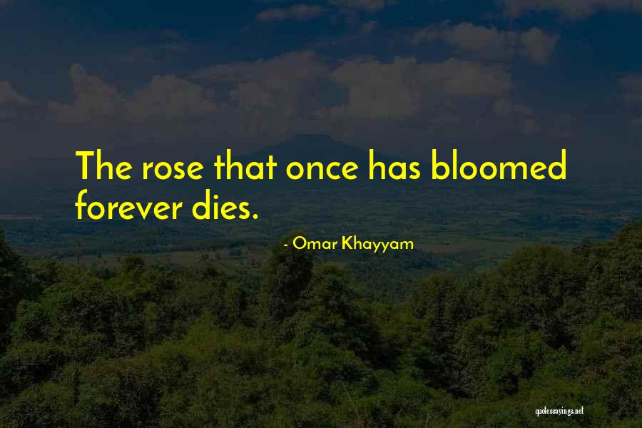 Nicky Boehme Quotes By Omar Khayyam Nicky Boehme Quotes By Omar Khayyam