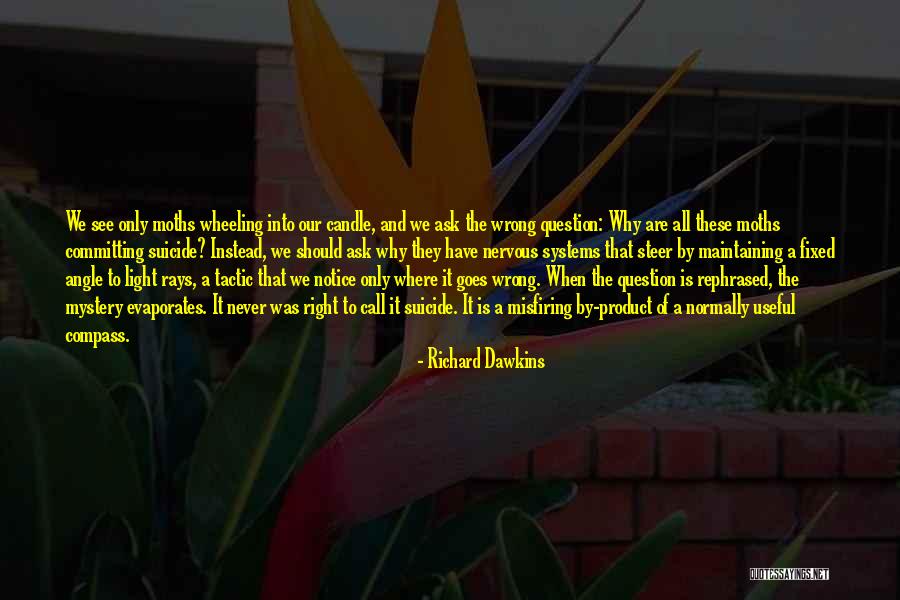 Nicodemos Tsolakis Quotes By Richard Dawkins Nicodemos Tsolakis Quotes By Richard Dawkins