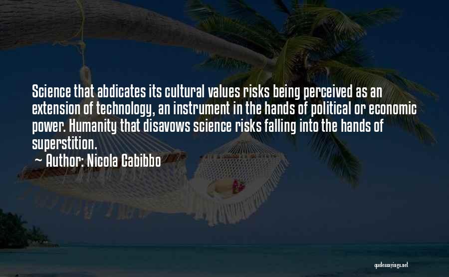 Nicola Cabibbo Quotes 374735