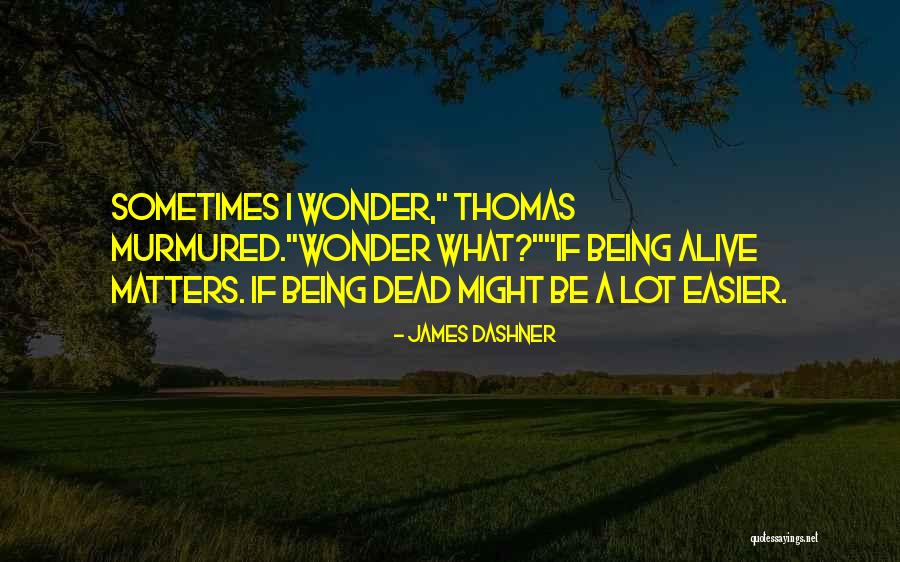 Nicolaas Van Quotes By James Dashner Nicolaas Van Quotes By James Dashner