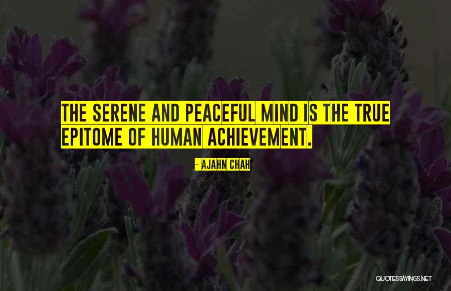 Nicolaescu Daniel Quotes By Ajahn Chah Nicolaescu Daniel Quotes By Ajahn Chah