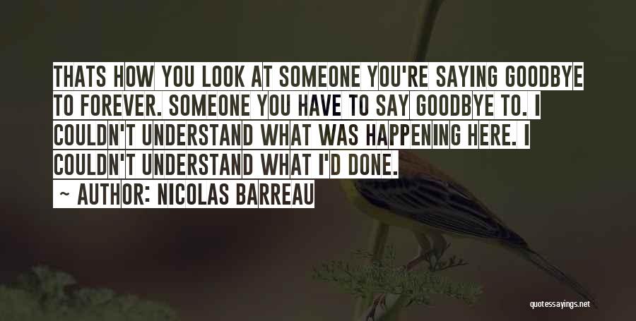 Nicolas Barreau Quotes 1283670