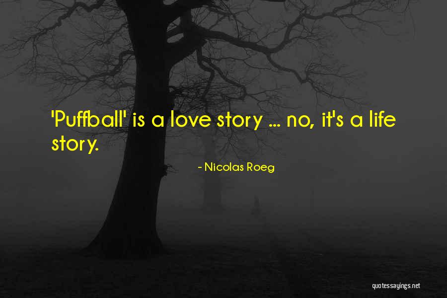 Nicolas Roeg Quotes 219839 Nicolas Roeg Quotes 219839