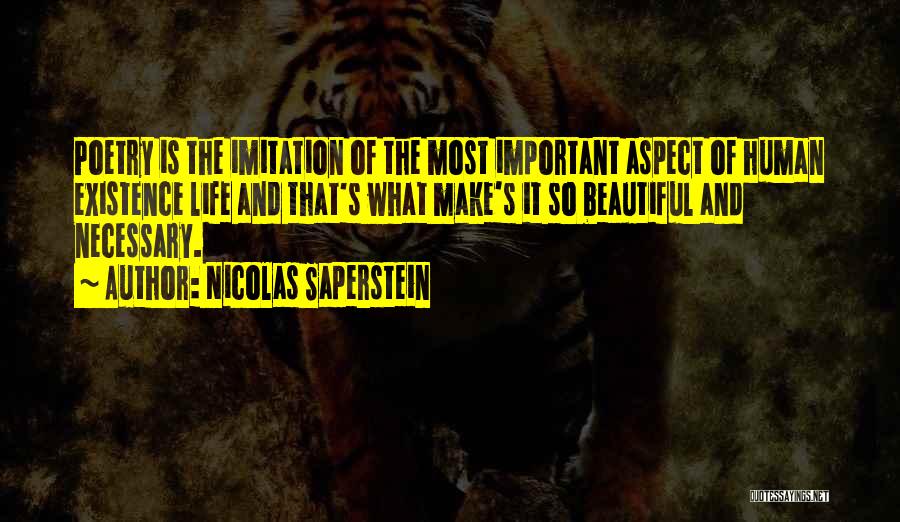 Nicolas Saperstein Quotes 1621438