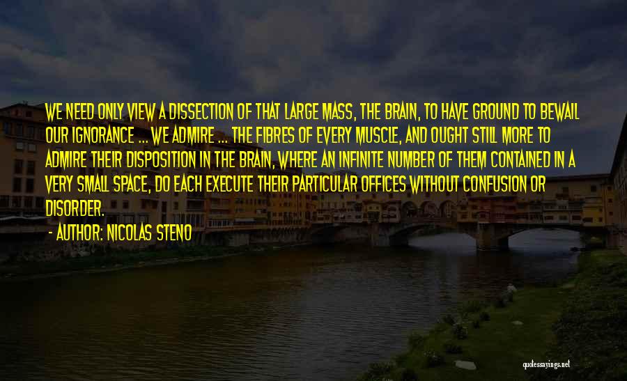 Nicolas Steno Quotes 465104