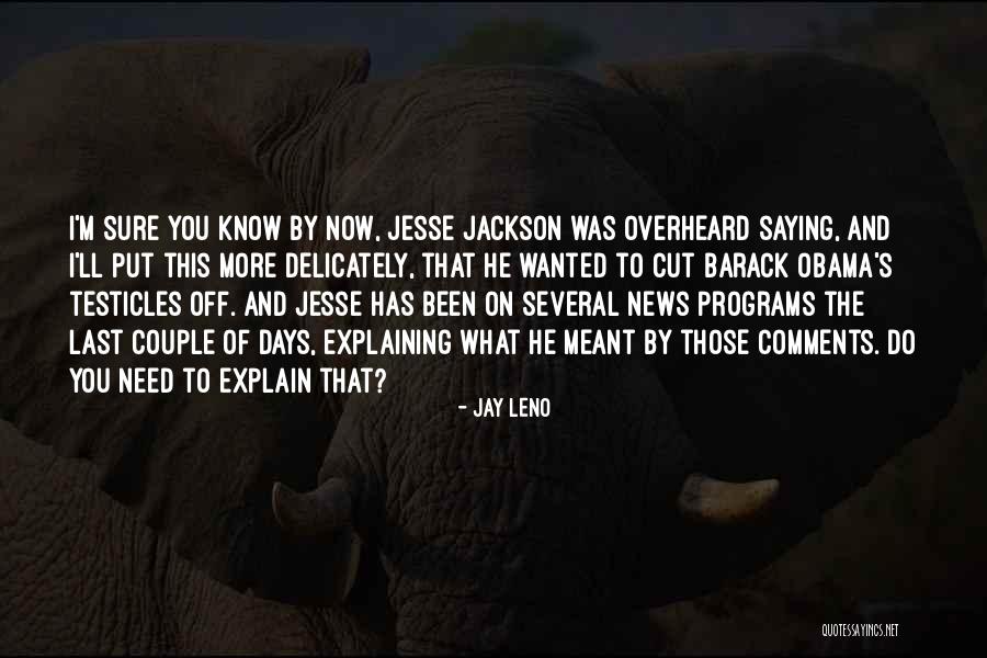 Nicolasa Pottery Quotes By Jay Leno Nicolasa Pottery Quotes By Jay Leno