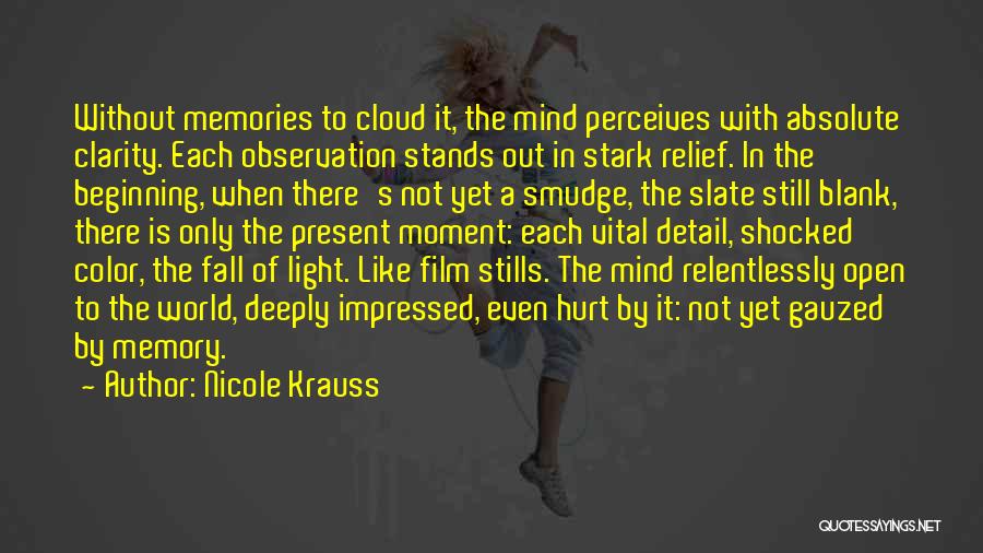 Nicole Krauss Quotes 1025267