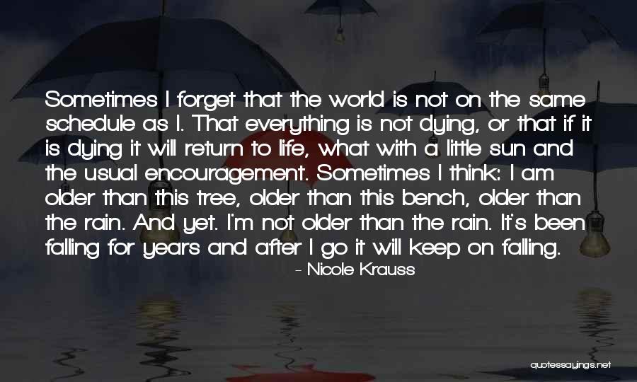 Nicole Krauss Quotes 134420