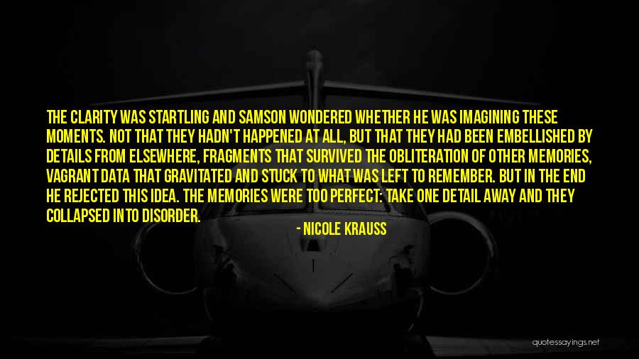 Nicole Krauss Quotes 1843029