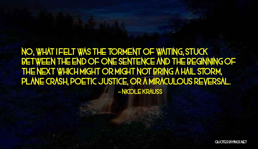 Nicole Krauss Quotes 761715 Nicole Krauss Quotes 761715