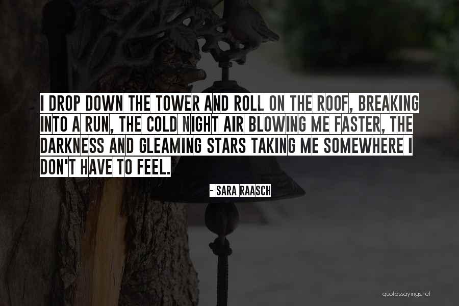Nicoles Middleburg Quotes By Sara Raasch Nicoles Middleburg Quotes By Sara Raasch