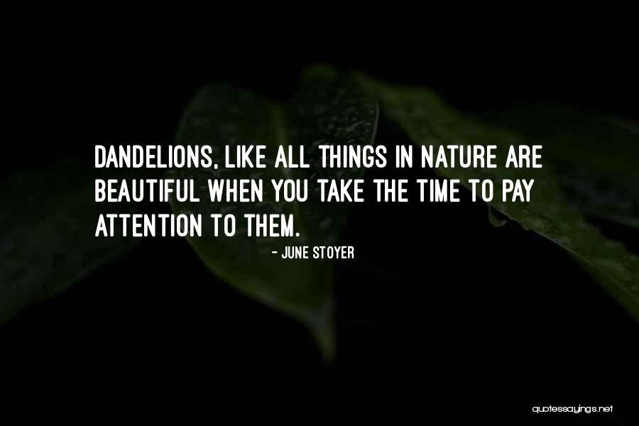 Nicolettis In Valley Quotes By June Stoyer Nicolettis In Valley Quotes By June Stoyer