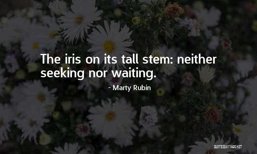 Nicolettos Quotes By Marty Rubin Nicolettos Quotes By Marty Rubin