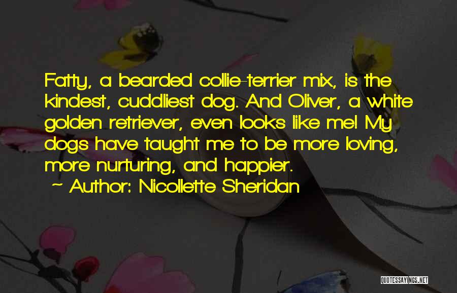 Nicollette Sheridan Quotes 1820676