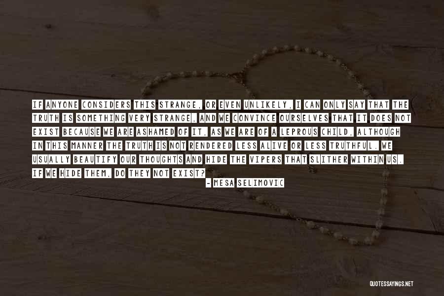 Nicotera Beach Quotes By Mesa Selimovic