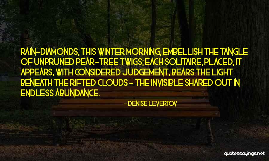 Nidas Trophy Quotes By Denise Levertov Nidas Trophy Quotes By Denise Levertov