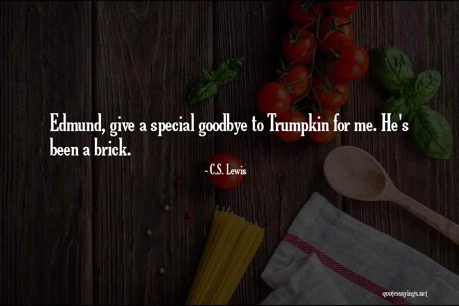 Niece And Aunt Quotes By C.S. Lewis Niece And Aunt Quotes By C.S. Lewis