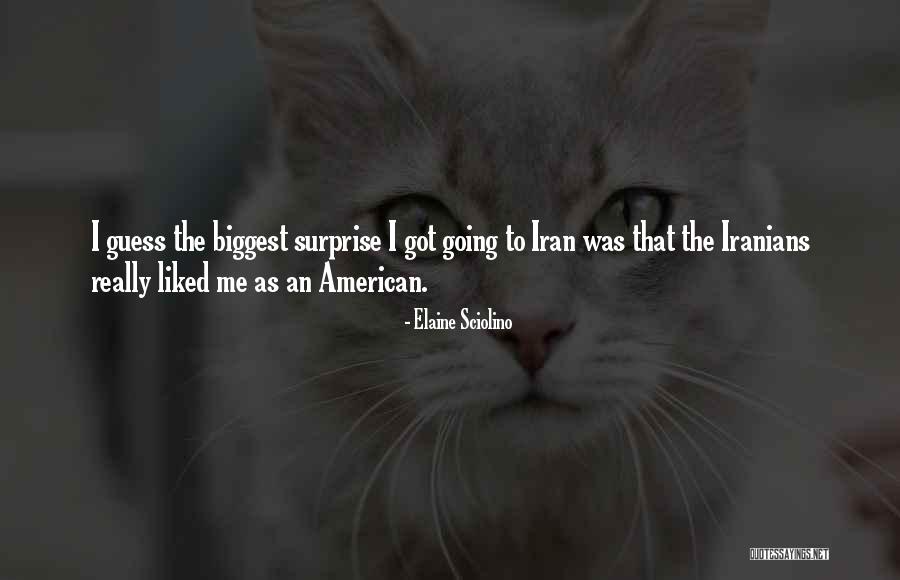 Niedecker Leveck Quotes By Elaine Sciolino Niedecker Leveck Quotes By Elaine Sciolino
