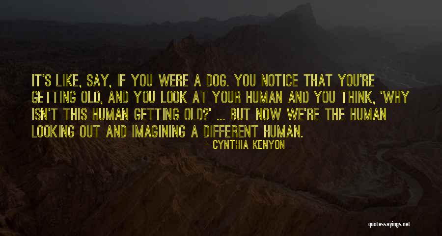 Niego Brothers Quotes By Cynthia Kenyon Niego Brothers Quotes By Cynthia Kenyon